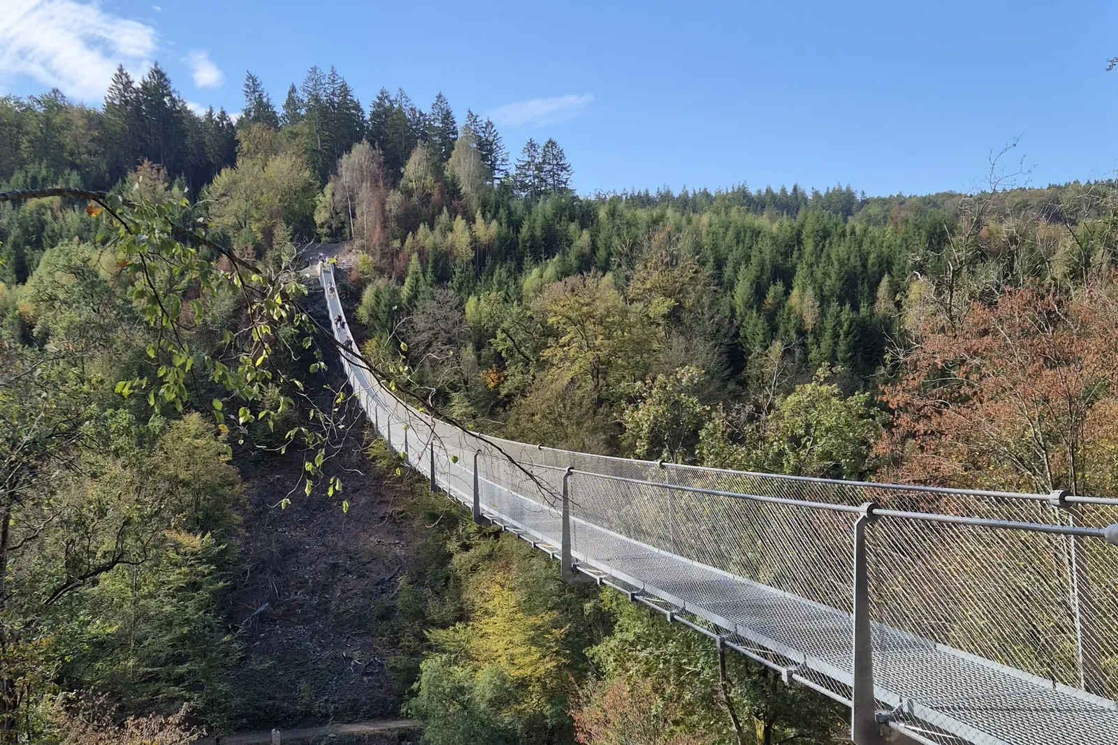 De Passerelle himalayenne van Sainte-Cécile hangt 185 meter lang over de beboste Semois-vallei, in herfstkleuren onder een blauwe lucht